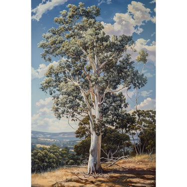 Eucalyptus Canvas